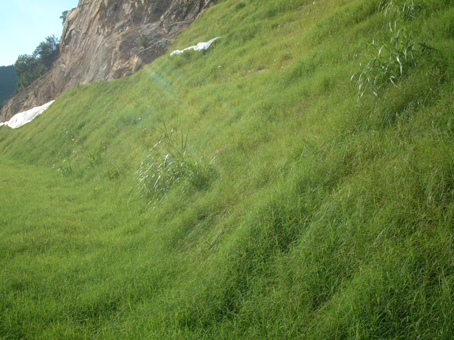 工程案例2